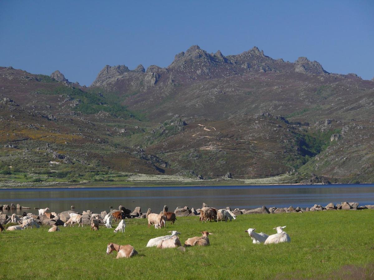 Habitacion Da Moura Maus de Salas Dış mekan fotoğraf